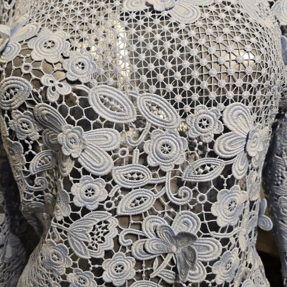 See through Lace Beautiful Dress Size 12 - Picture 3 of 6